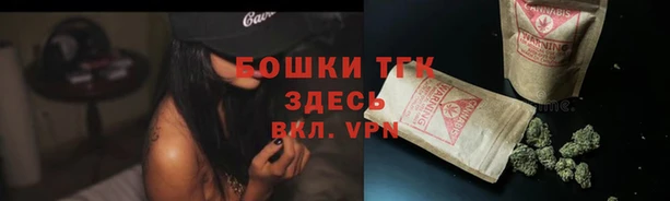 бошки Покачи