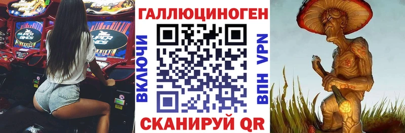 как найти закладки  Кузнецк  Псилоцибиновые грибы MAGIC MUSHROOMS 